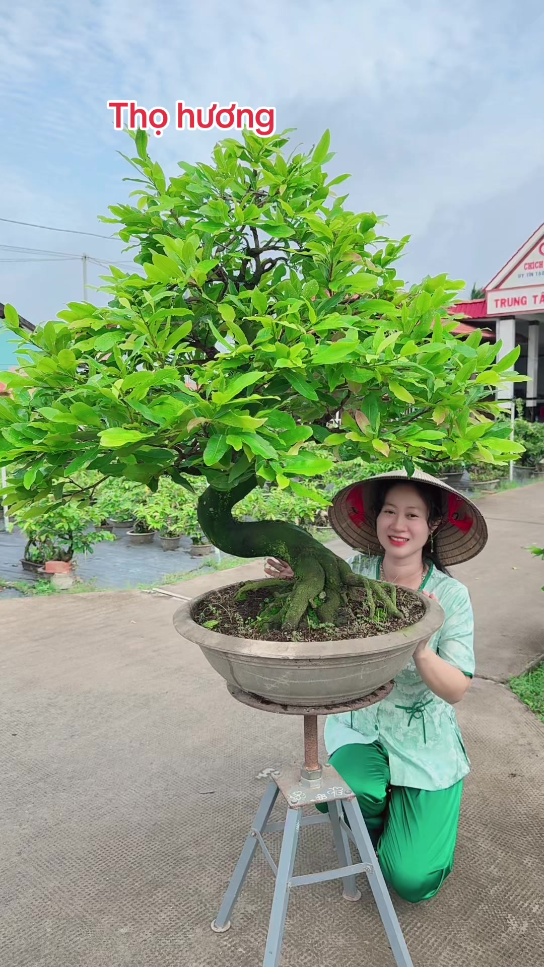 @Chichchoebong79