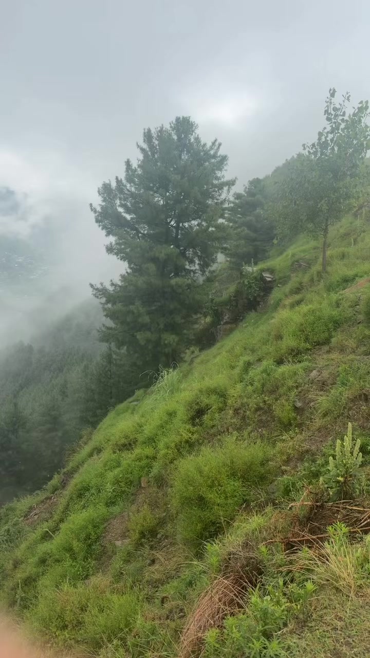 @mehtab_shah786