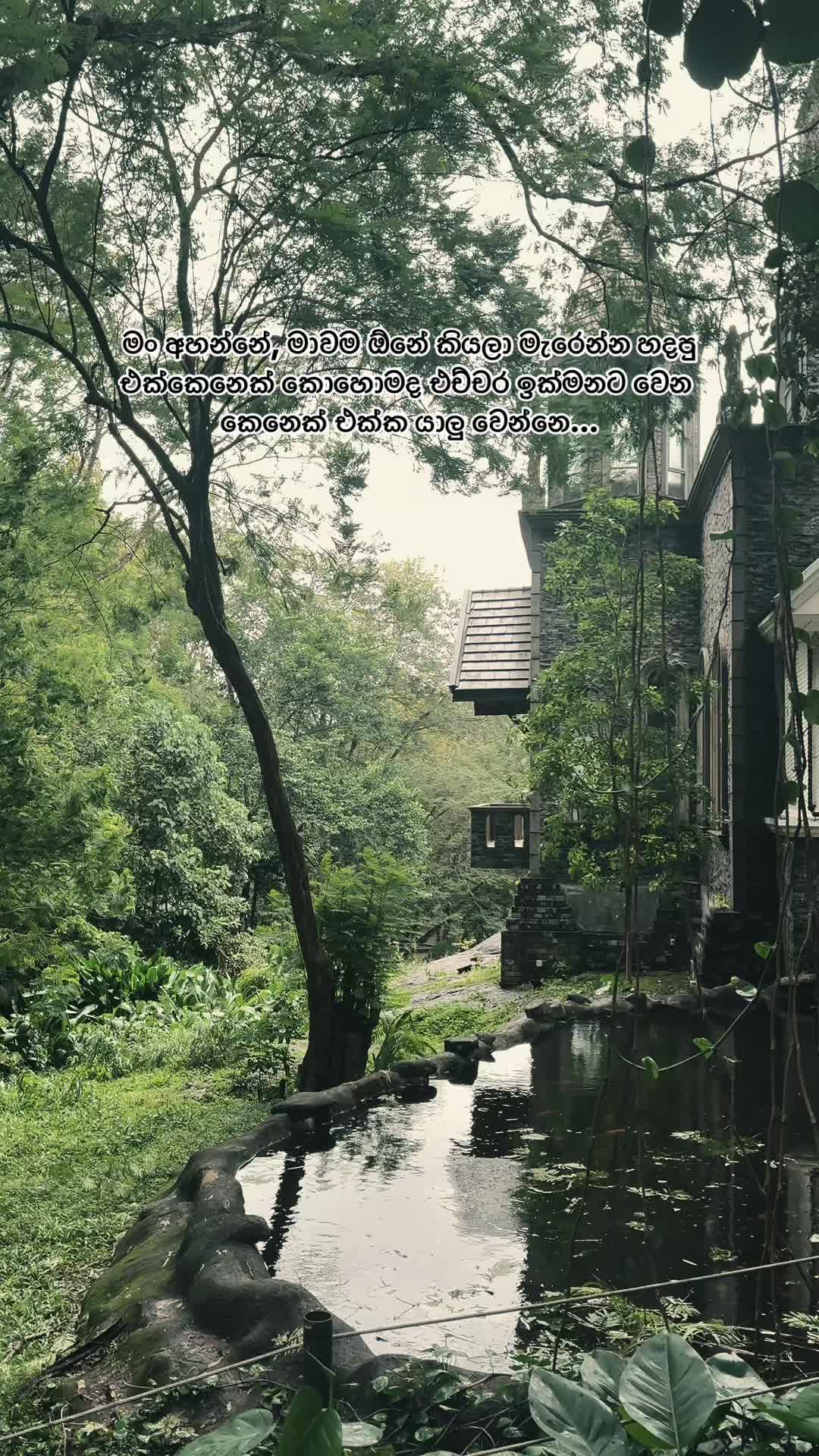 @2am_quotes 🥀