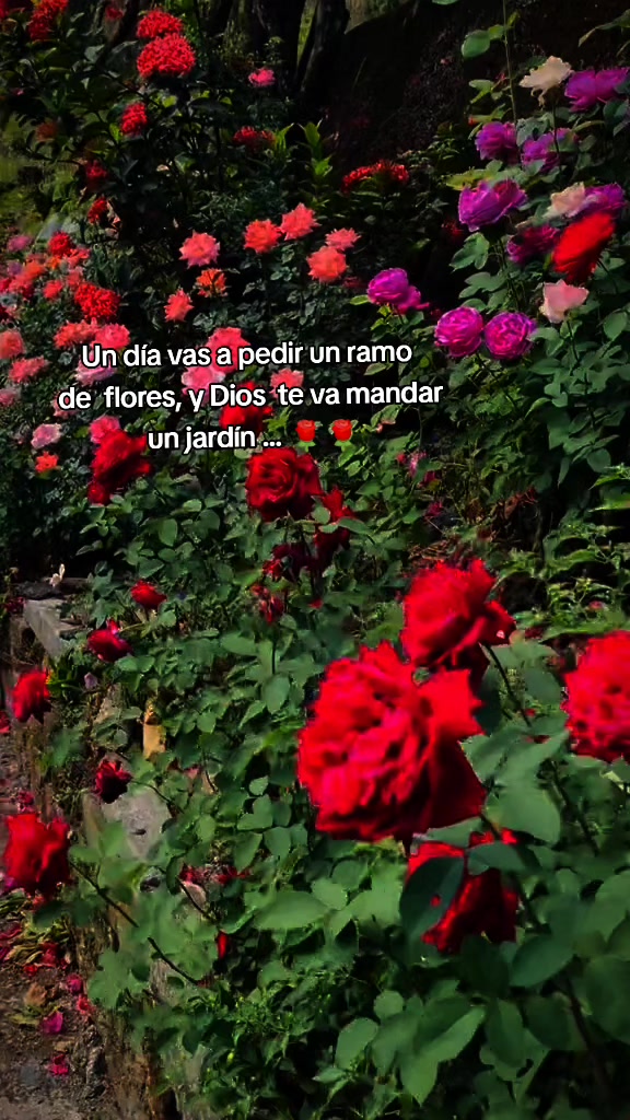 @❤️Frases y Reflexiones🍒