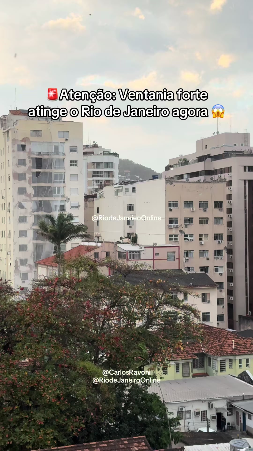 @Rio de Janeiro online