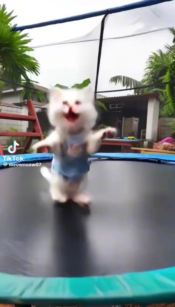 @chi Sweet Home superstar