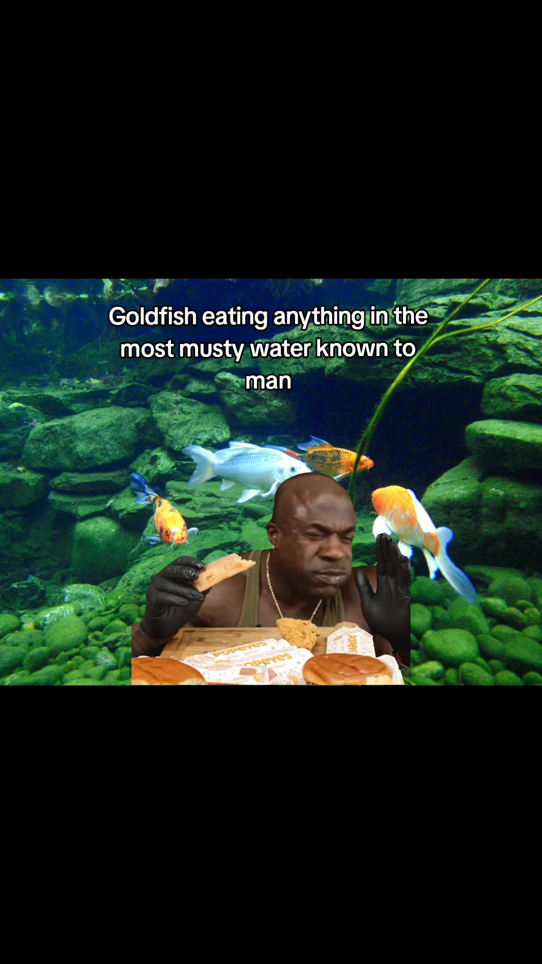 @BaronVonBoofHead