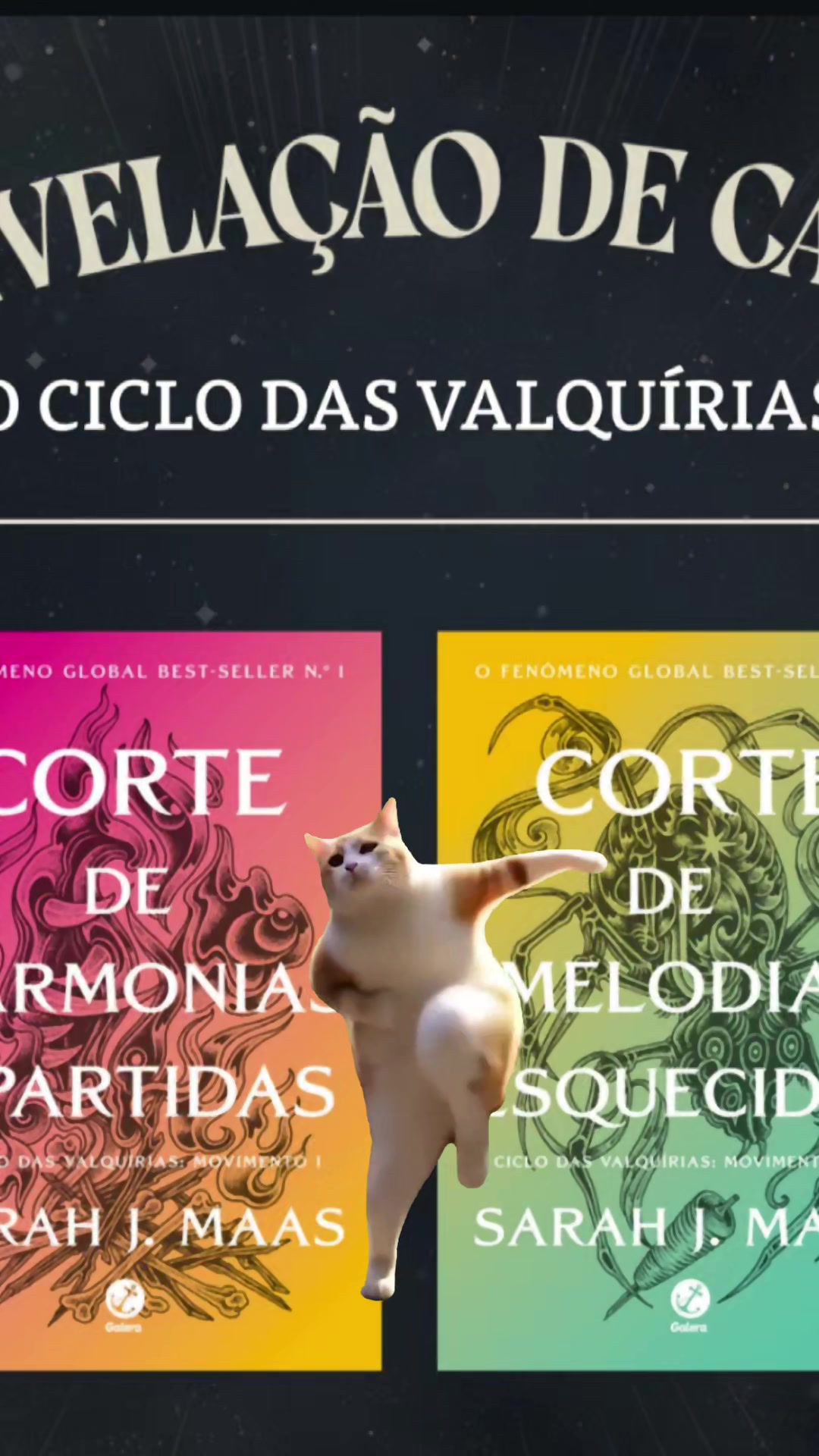 @ACOTAR BRASIL