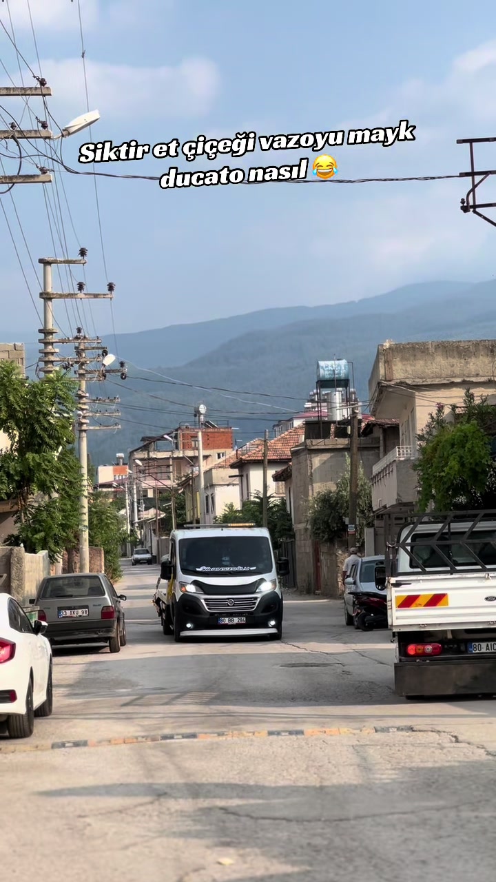 @cankarinsizoglu