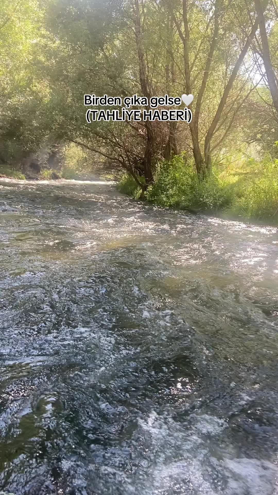 @LALENİZZ38🐊