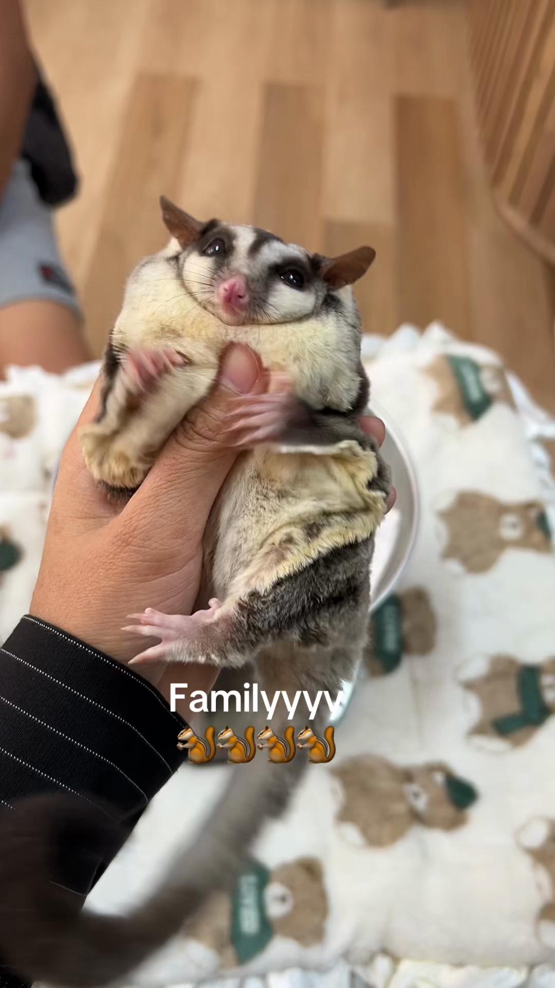 @jesugarglider.id1