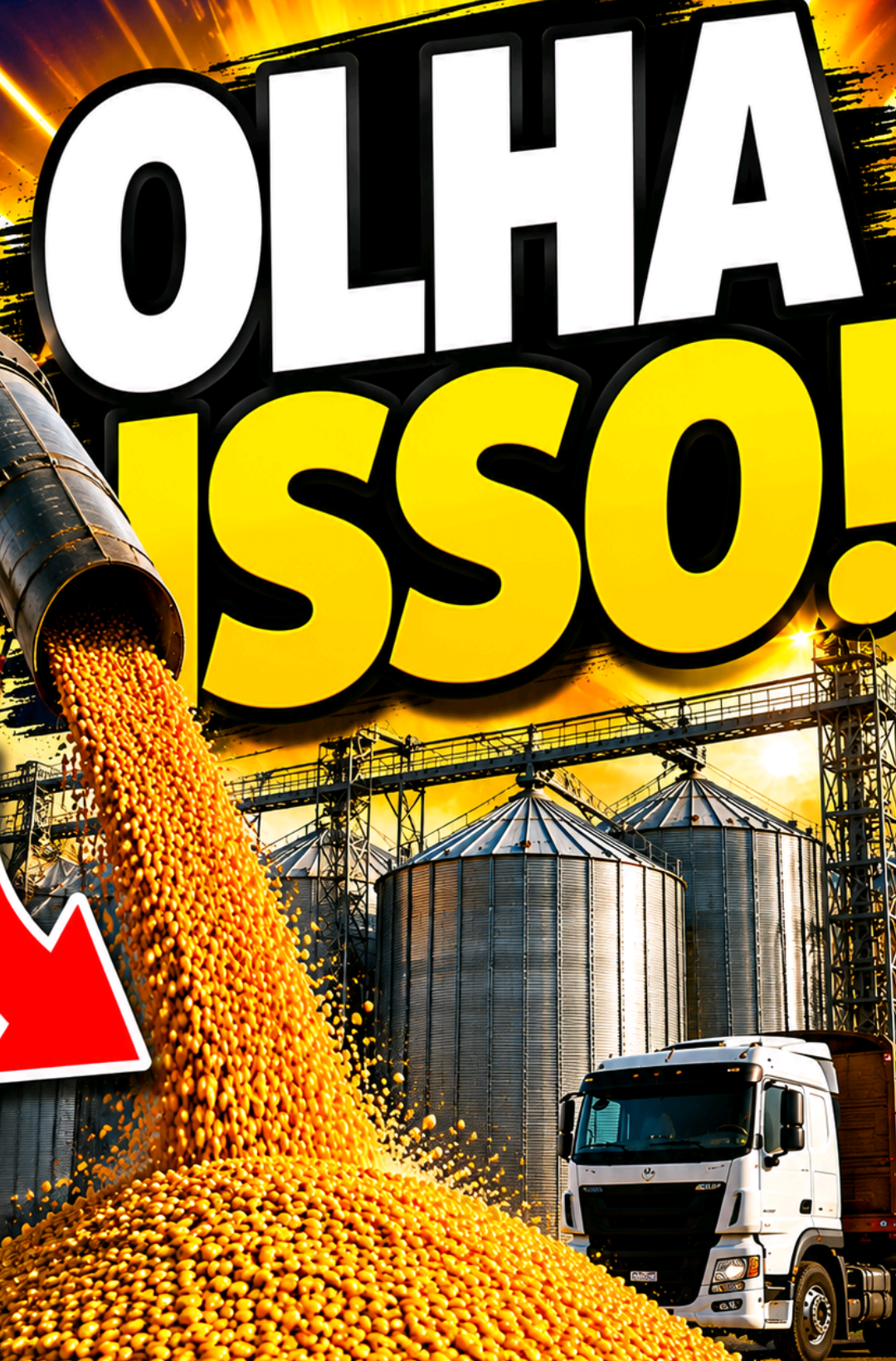 @RAIZ DO SABER