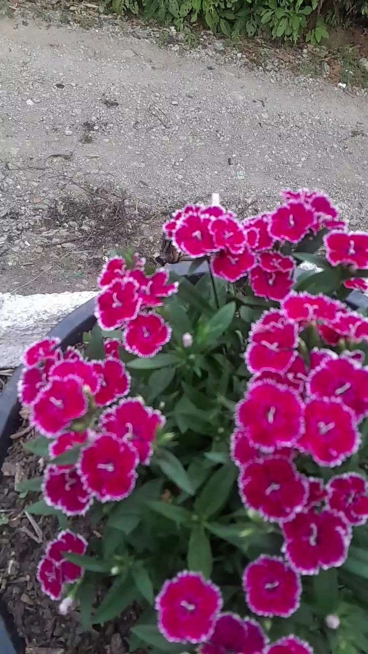@ina 😍