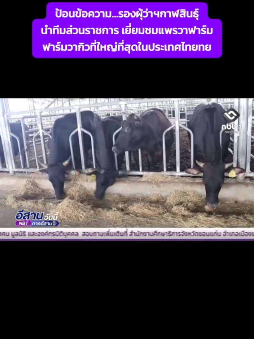 @ประชาสัมพันธ์จังหวัดกาฬสินธุ์