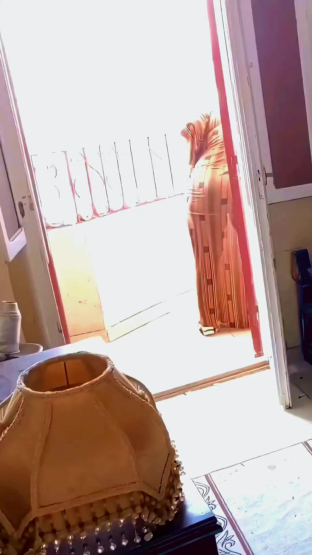 @💋 الكتكوته 💋
