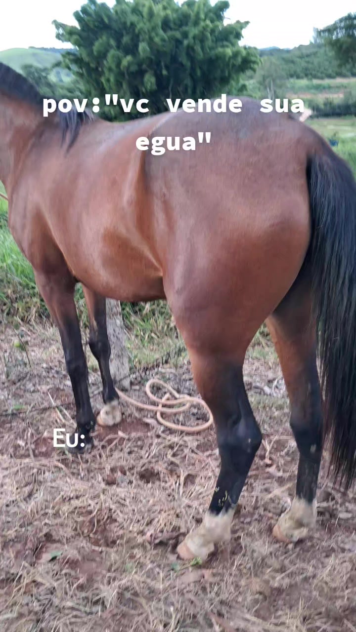 @Fernandin 🌵🇩🇬