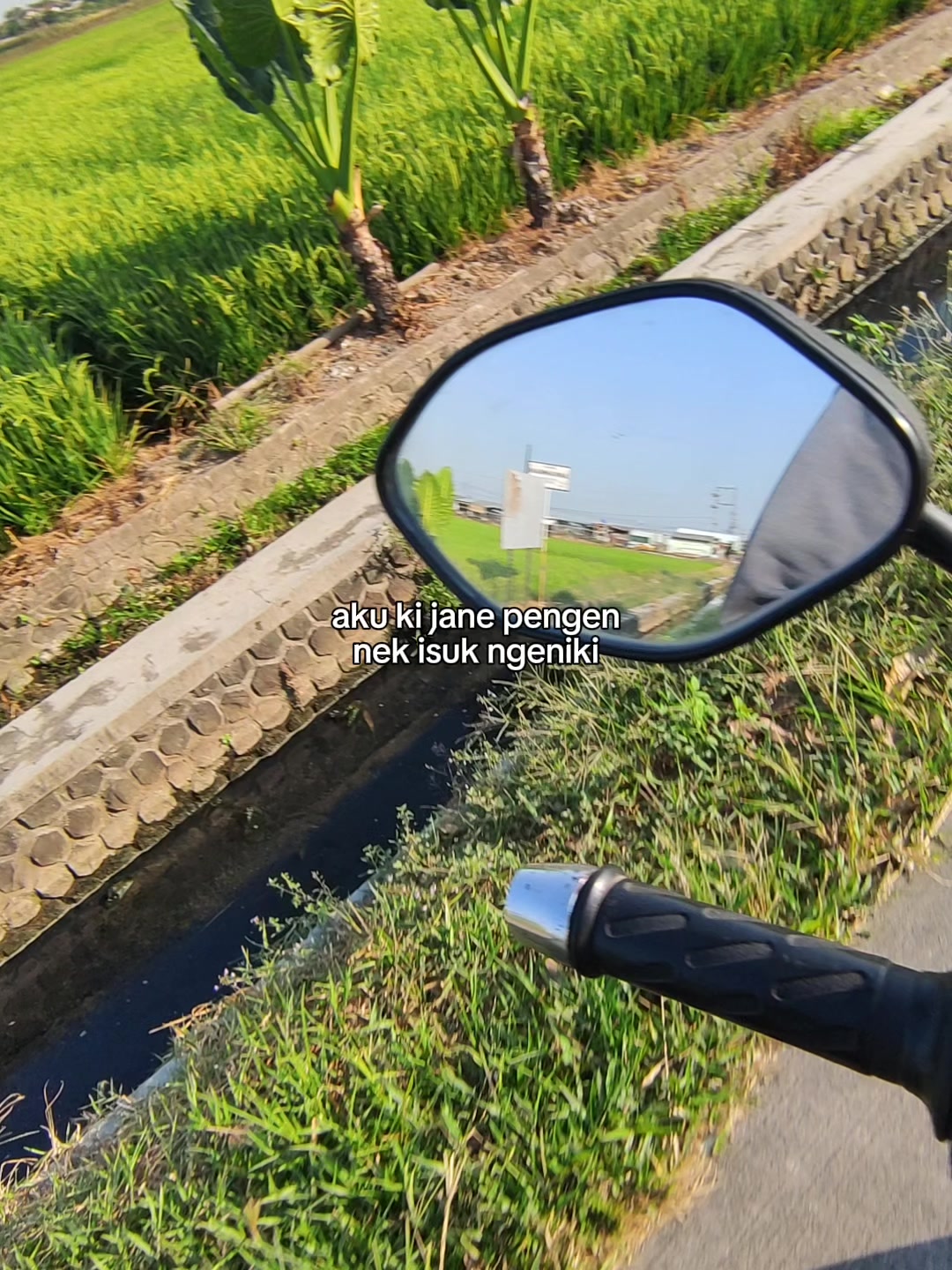 @Mas DuL