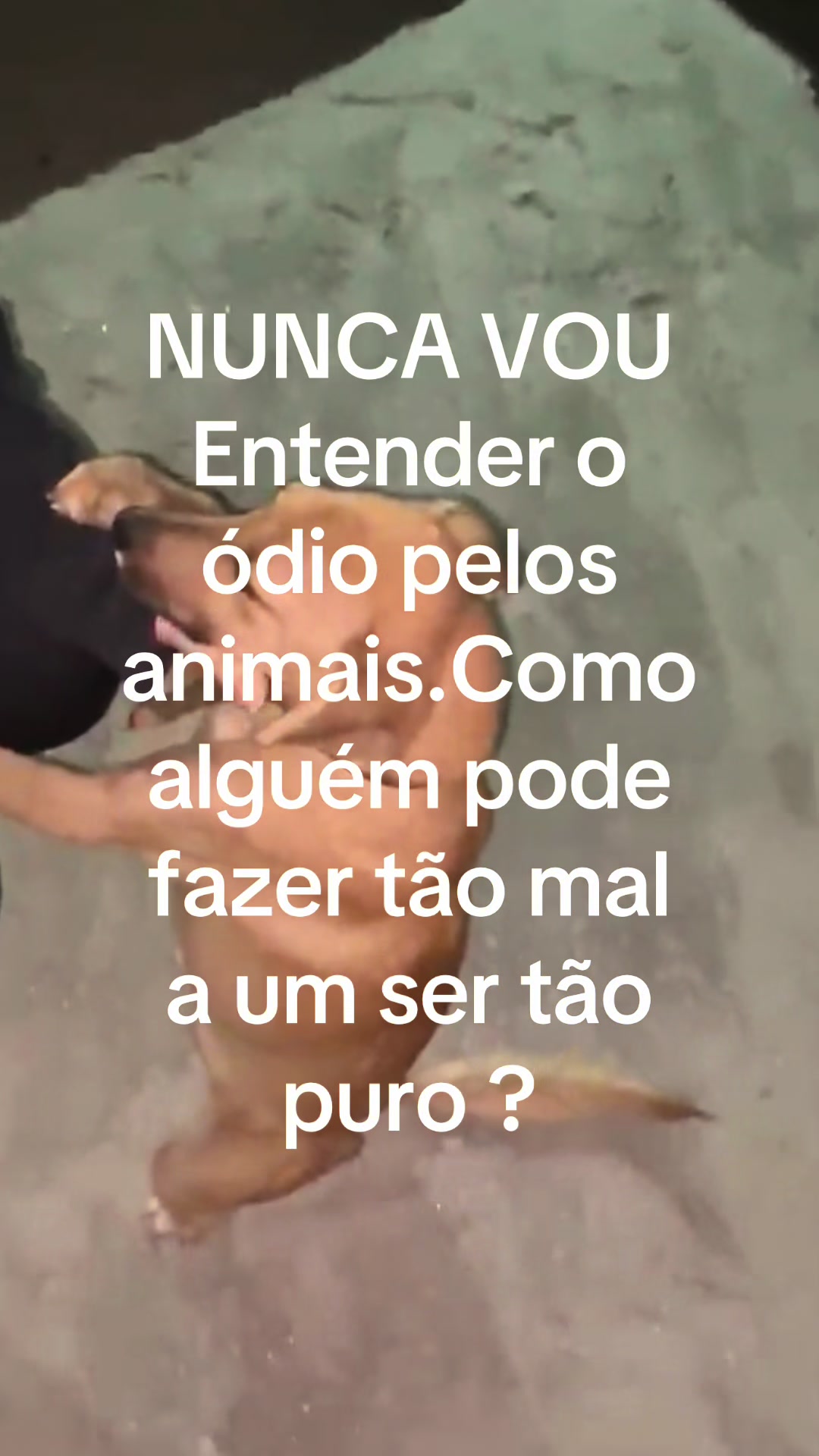 @Cristina