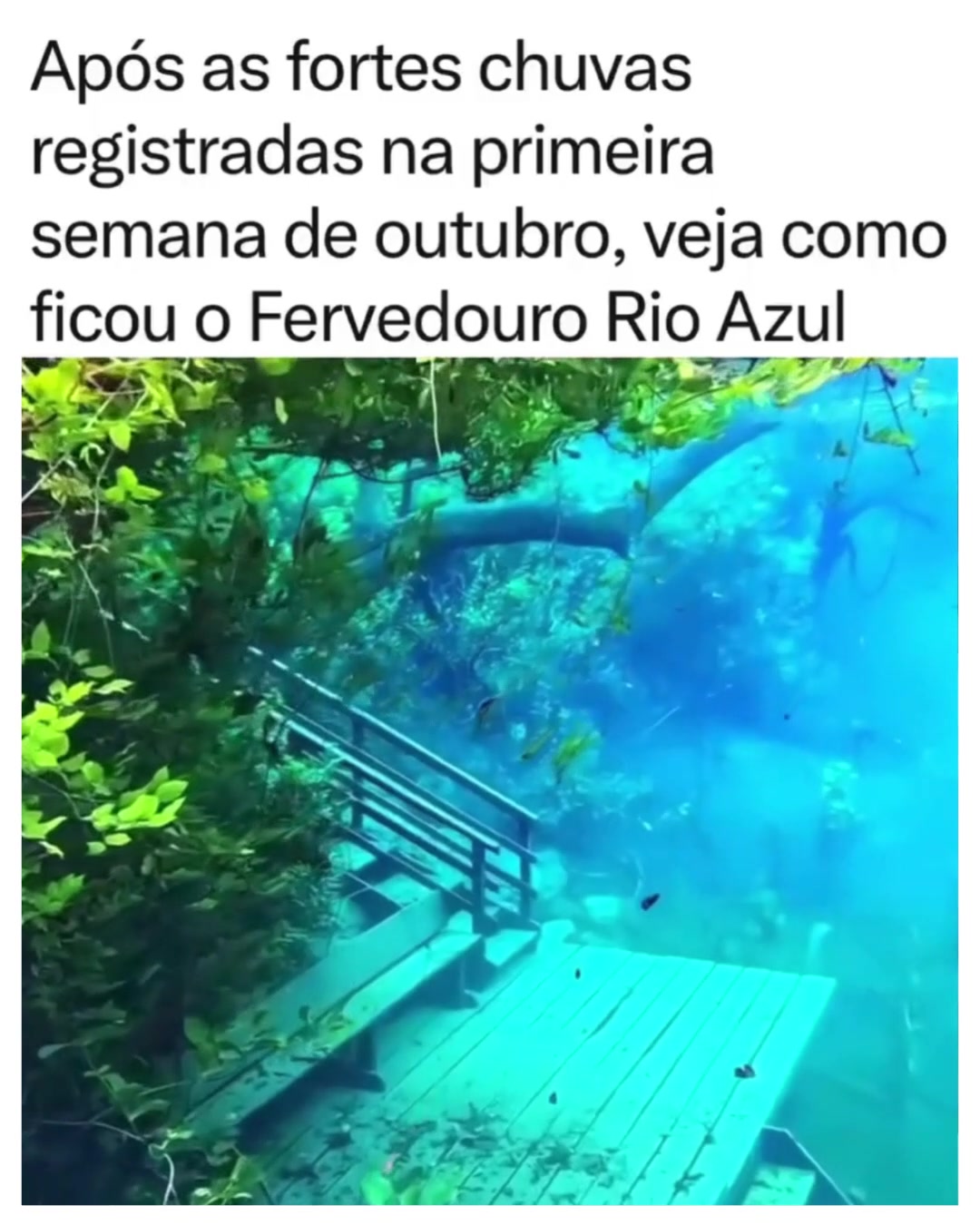 @Alfinetei