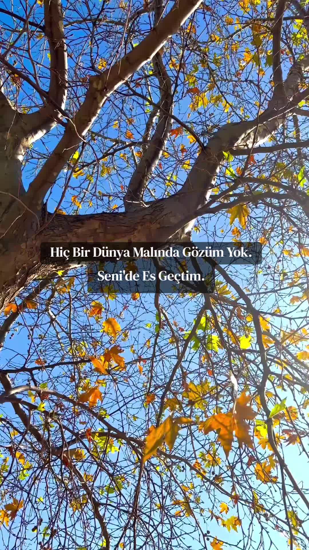 @𝑻𝑼𝑸𝑩𝑨