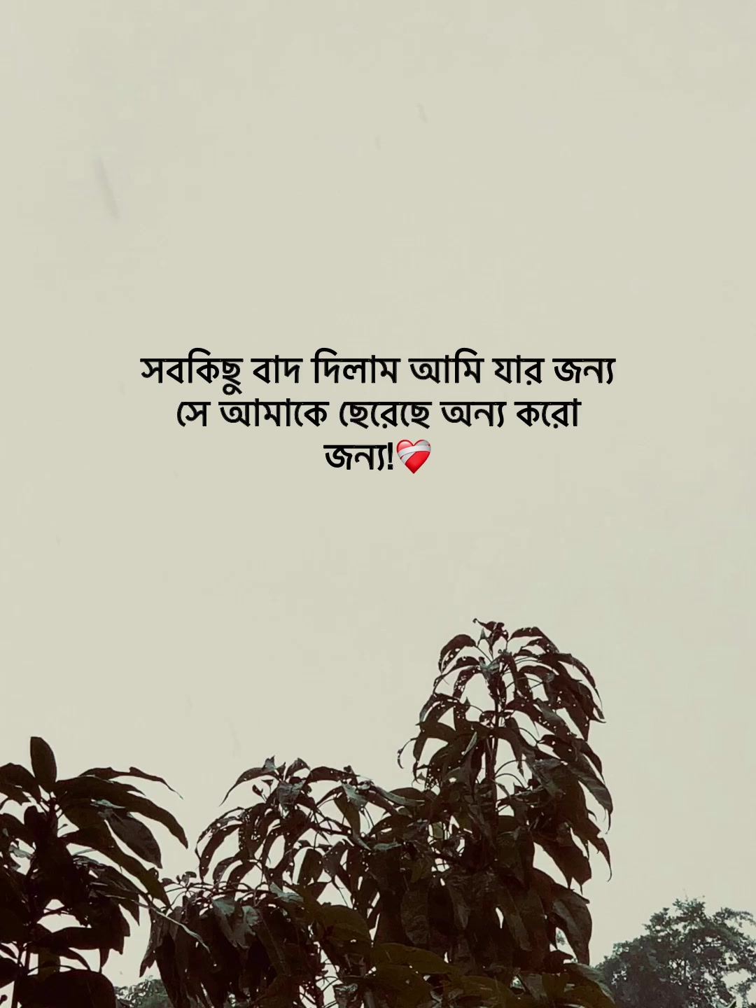 @Jit Baiddyađ§