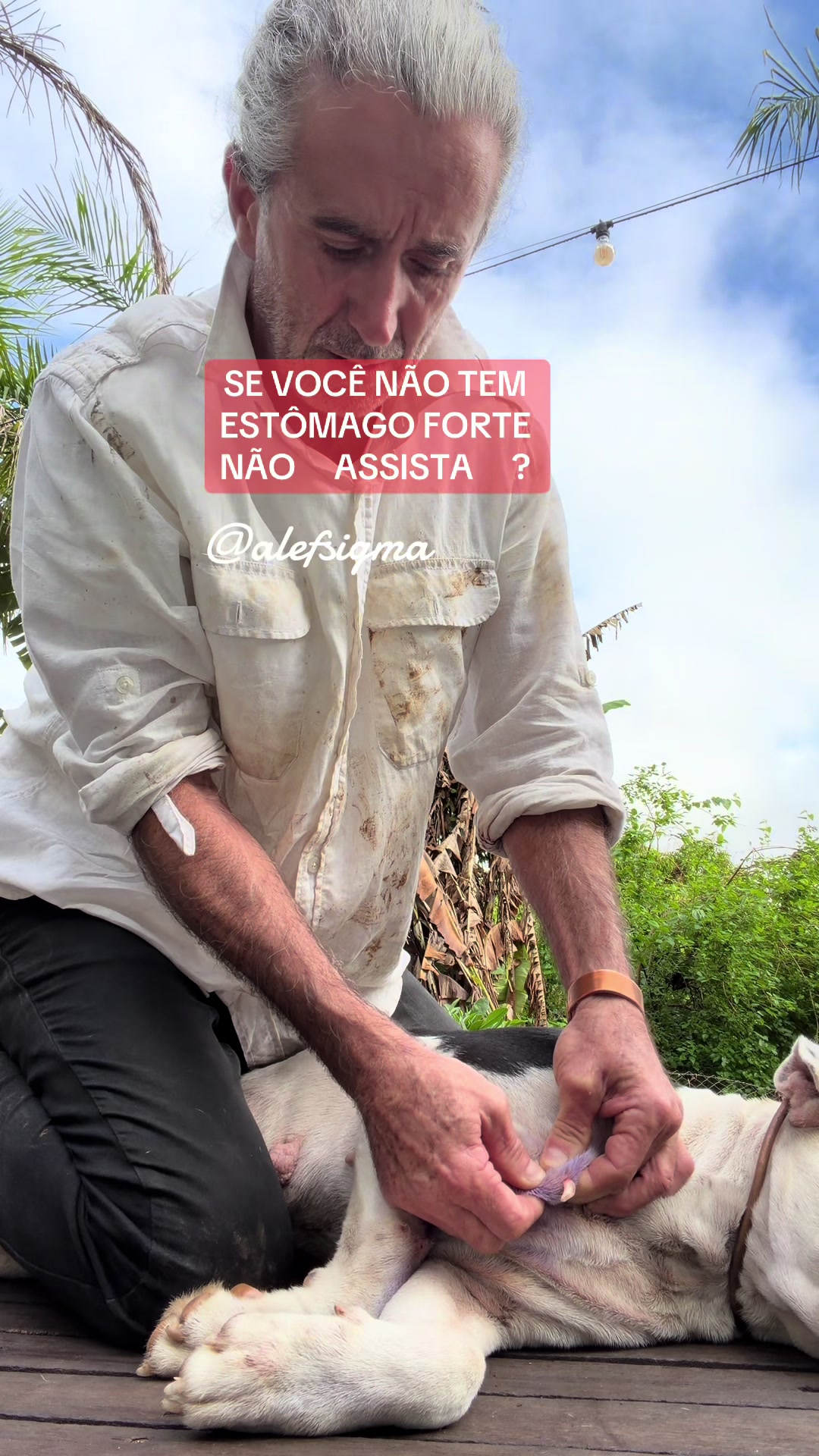 @Alef Sigma ® Dr.h.c.Terapeuta