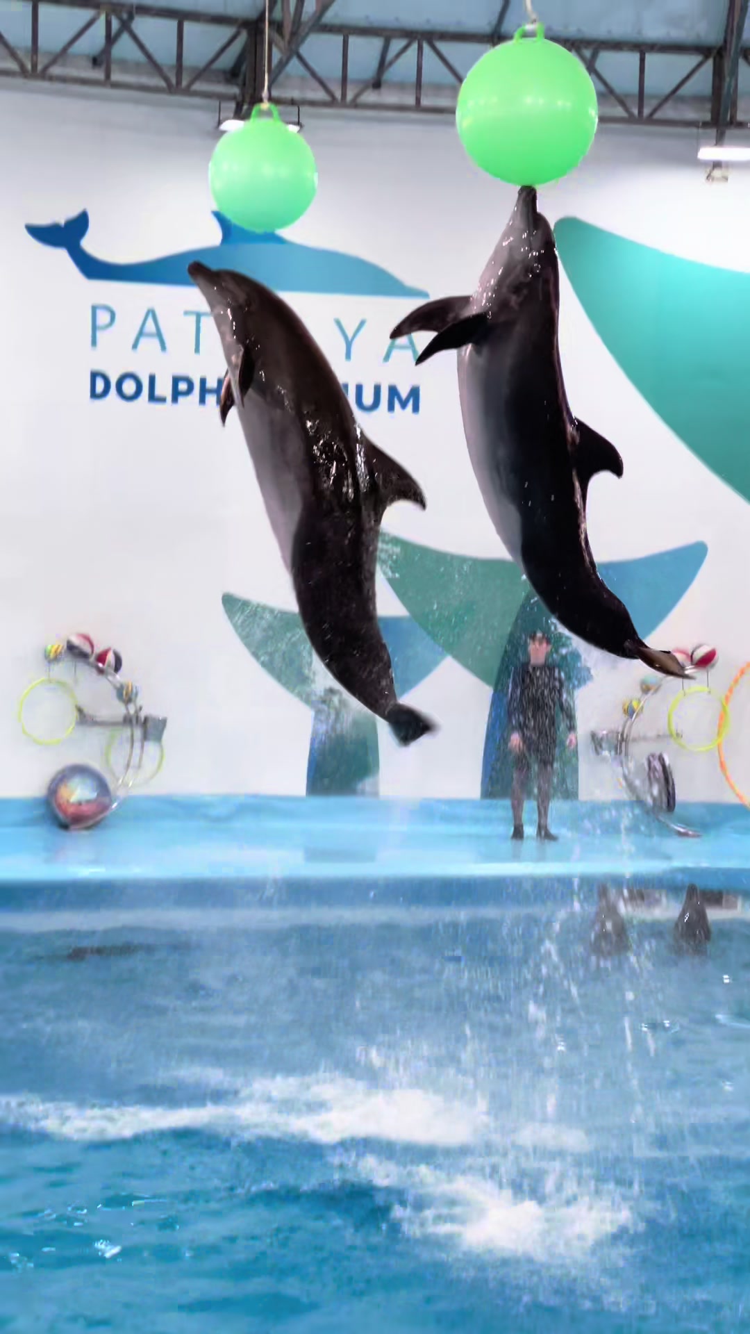 @Pattaya Dolphinarium