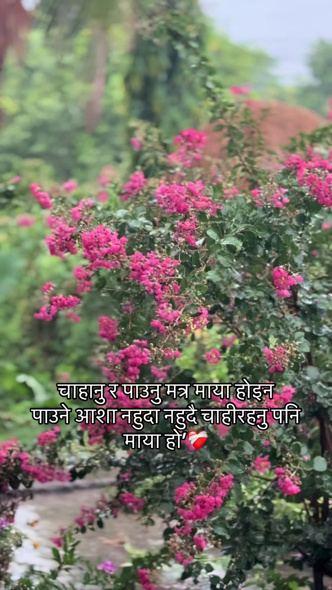 @ 🅰️nil pariyar