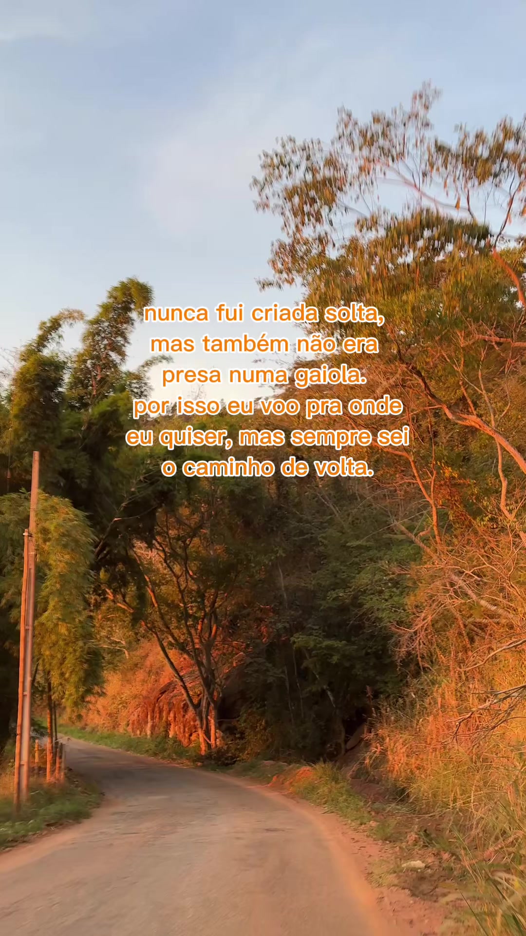 @Victória Nogueira