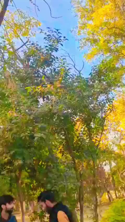 @MAAZ🪽