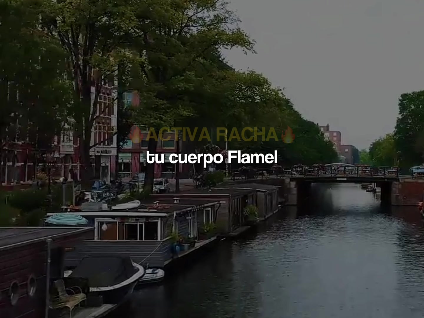 @𝐑𝐨𝐥𝐚𝐬 𝐥𝐢𝐟𝐞
