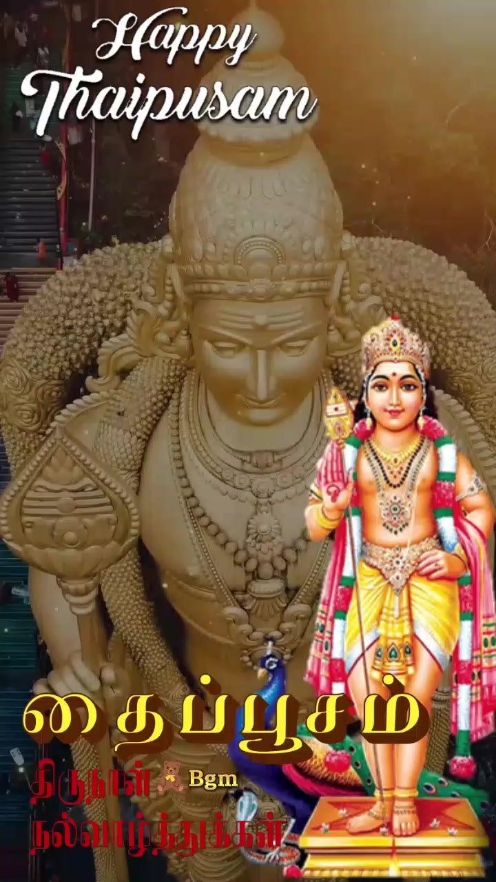 @⚘️💖கலாராஜா⚘️💖🪷🥀🪷🥀🪷🥀