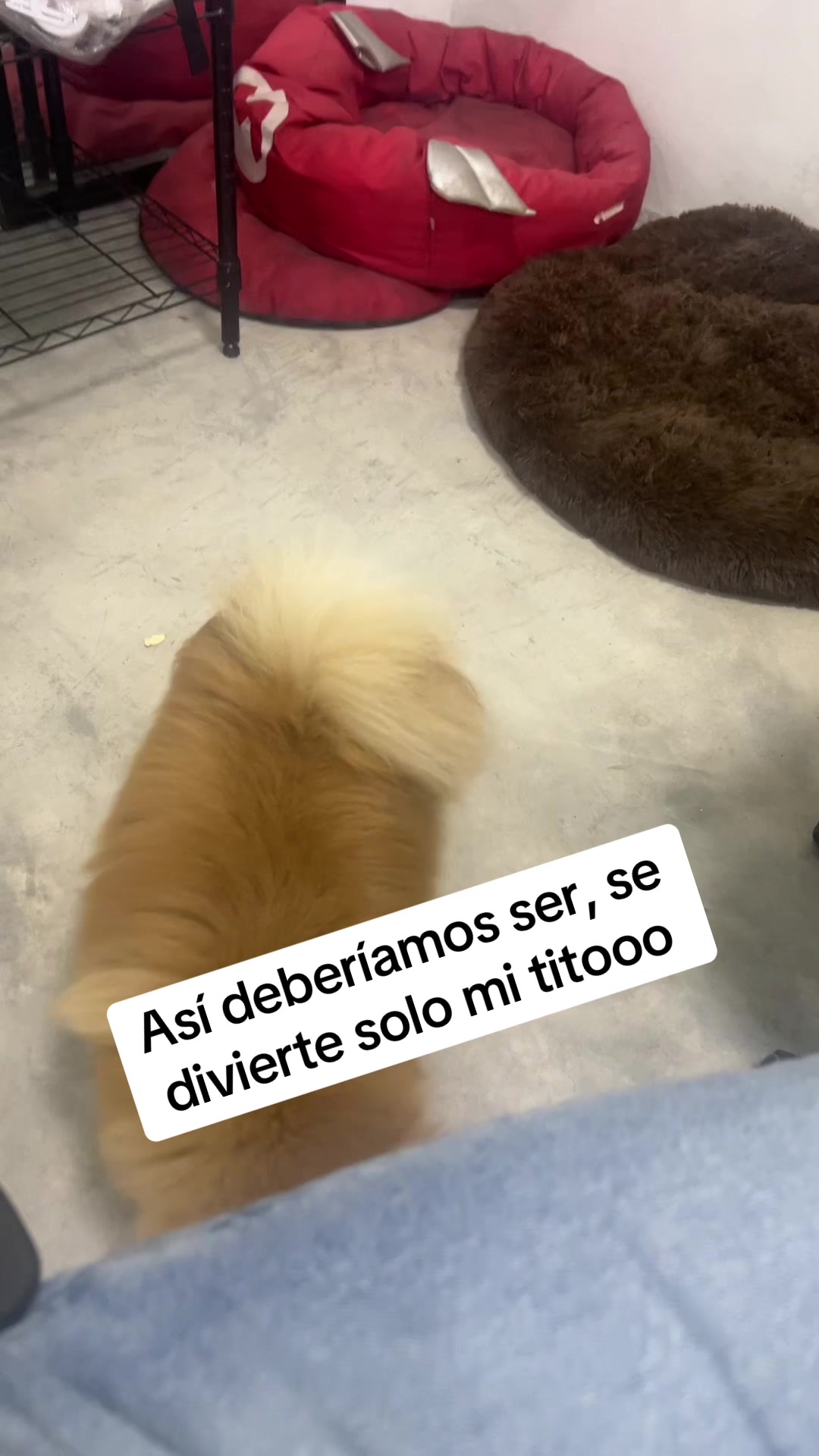 @Roustore