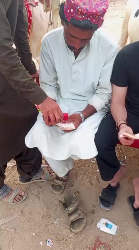 @Muhammad Rafique 768
