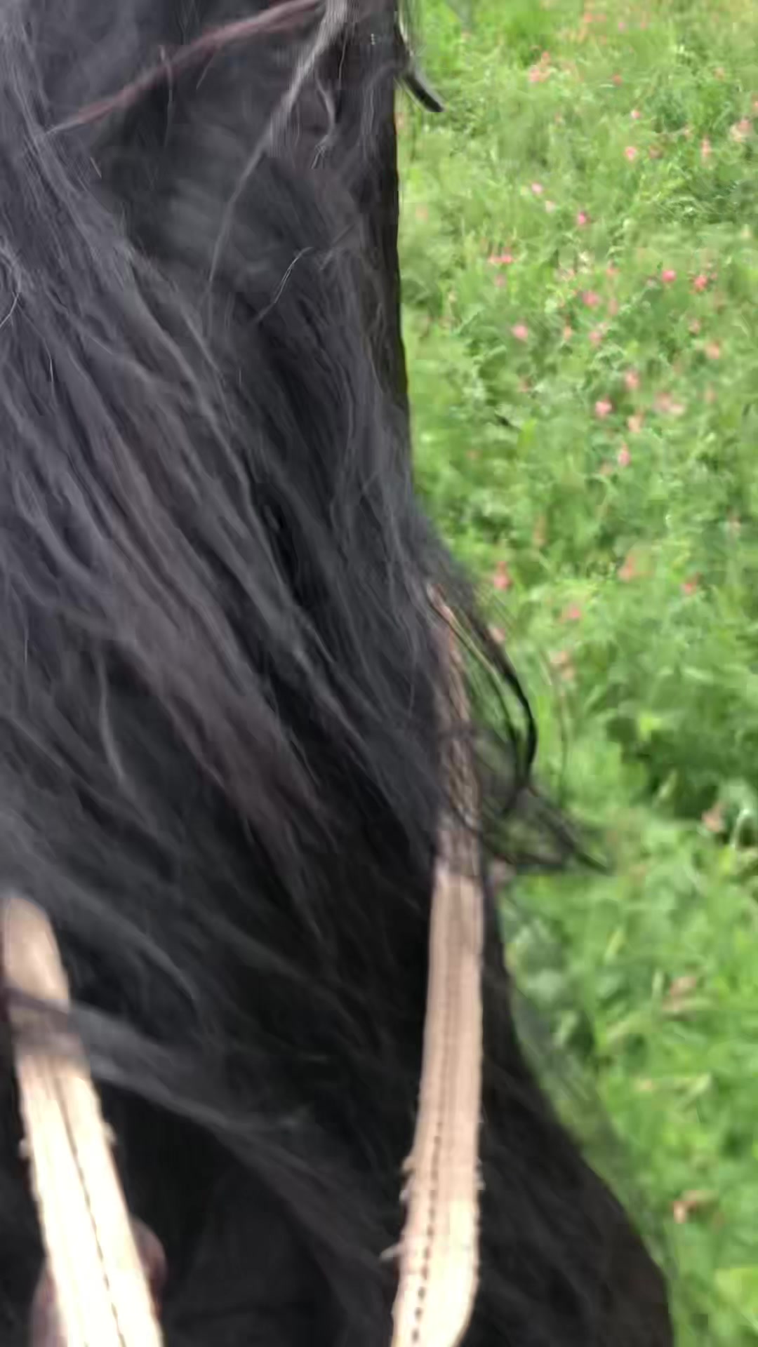 @Kadyshov