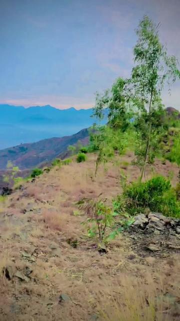 @🌏Amir☪️ Khan🇦🇵🇰