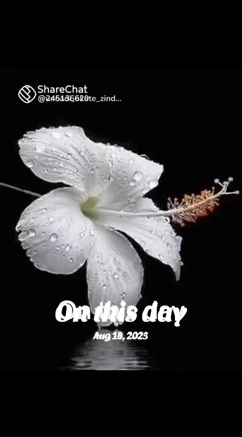 @వేణుగోపాలరెడ్డి