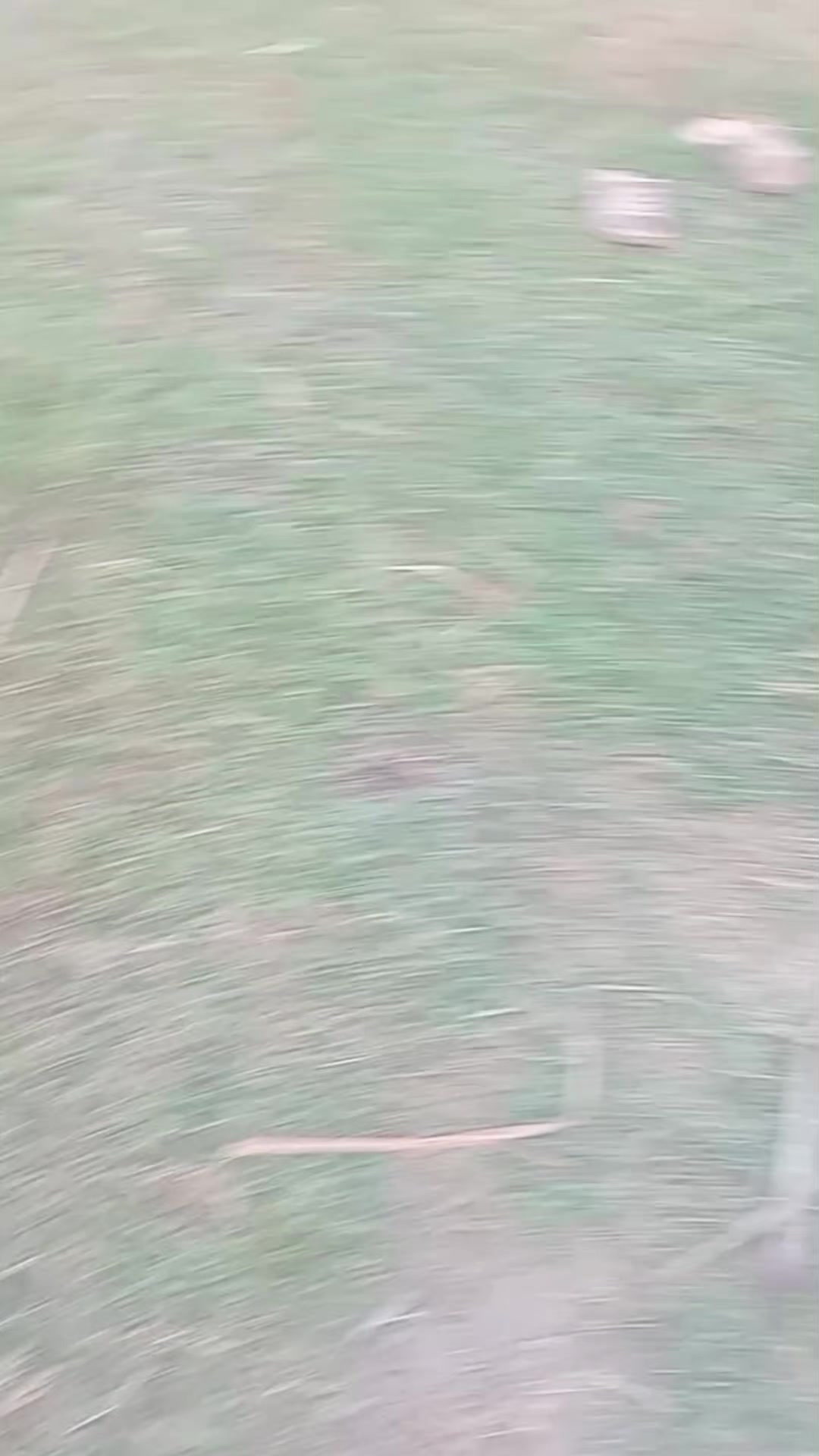 @salmanbrand33