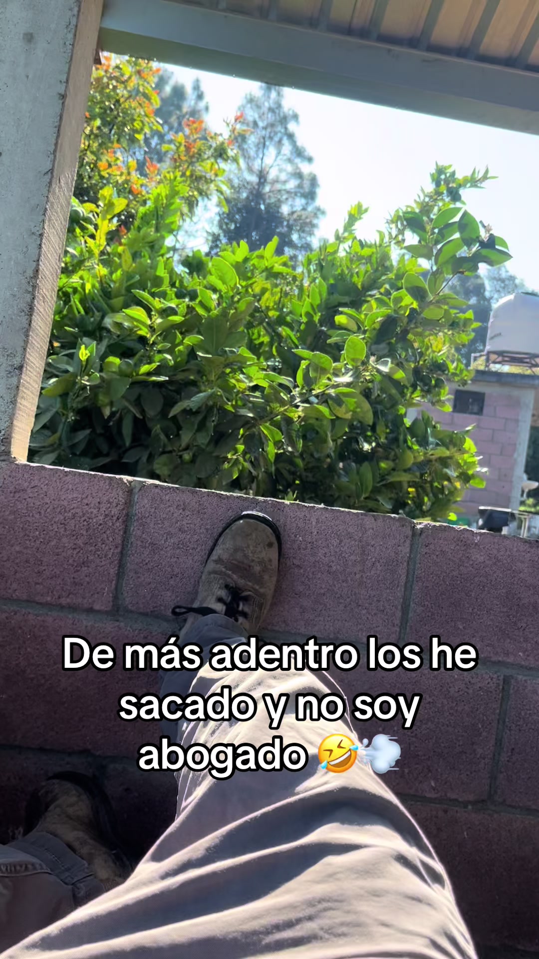 @EL SEÑOR DE LOS PEDOS
