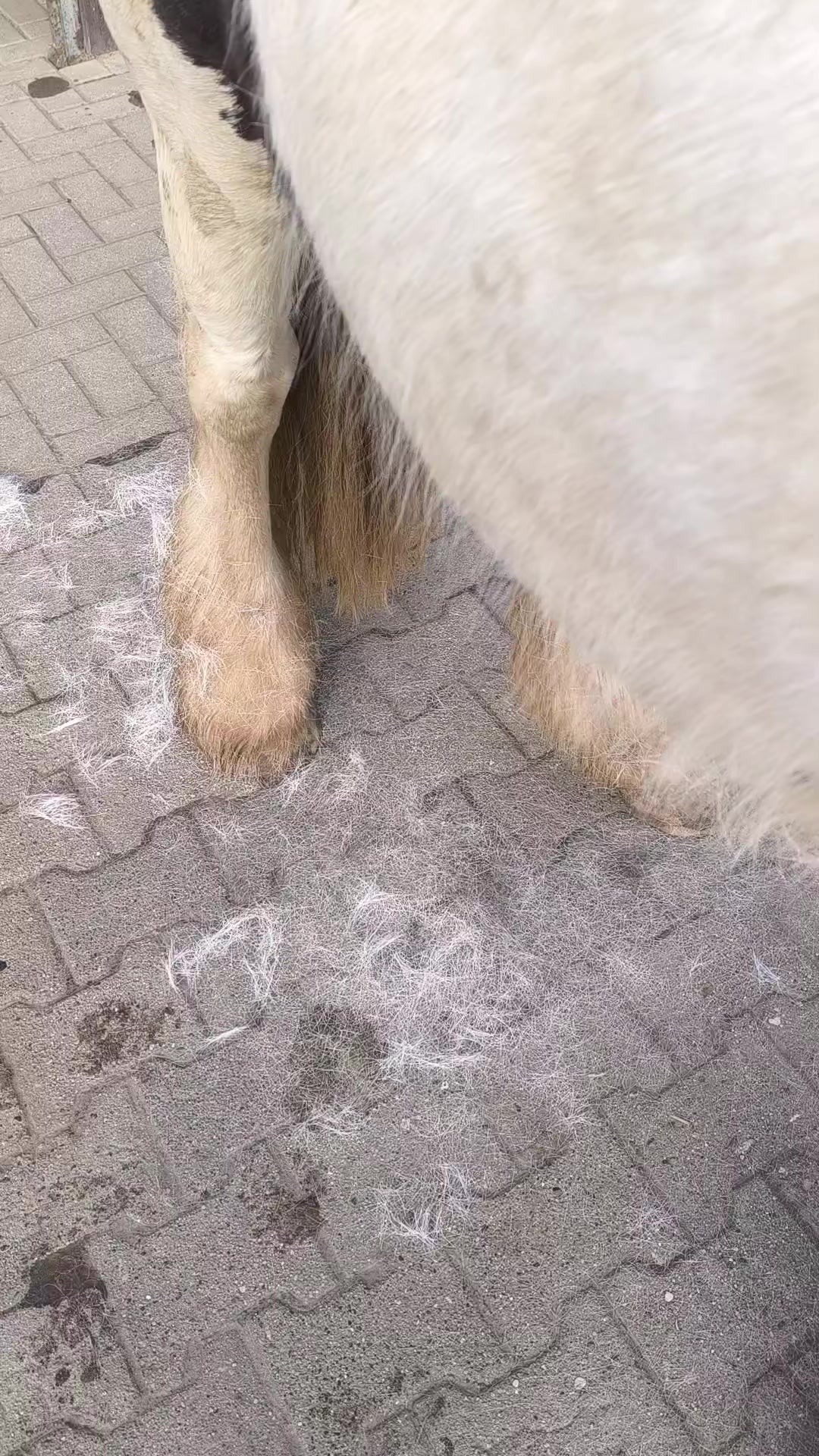 @Knallt&uuml;te