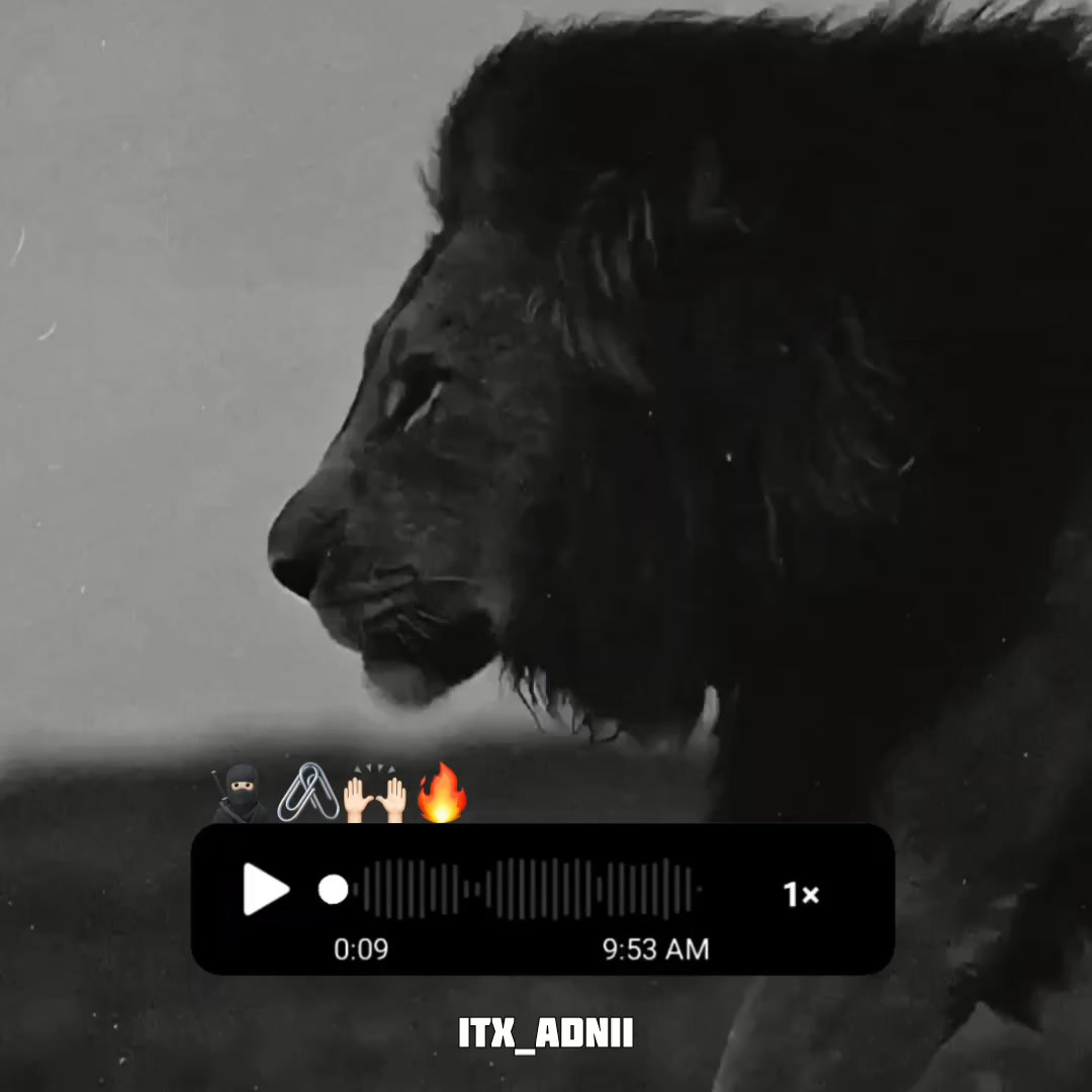 @𝙄𝙏𝙓_𝘼𝘿𝙉𝙄𝙄