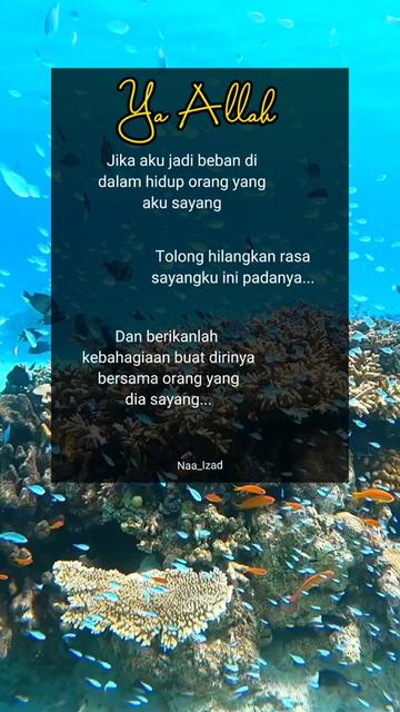 @Nisa_Azlan