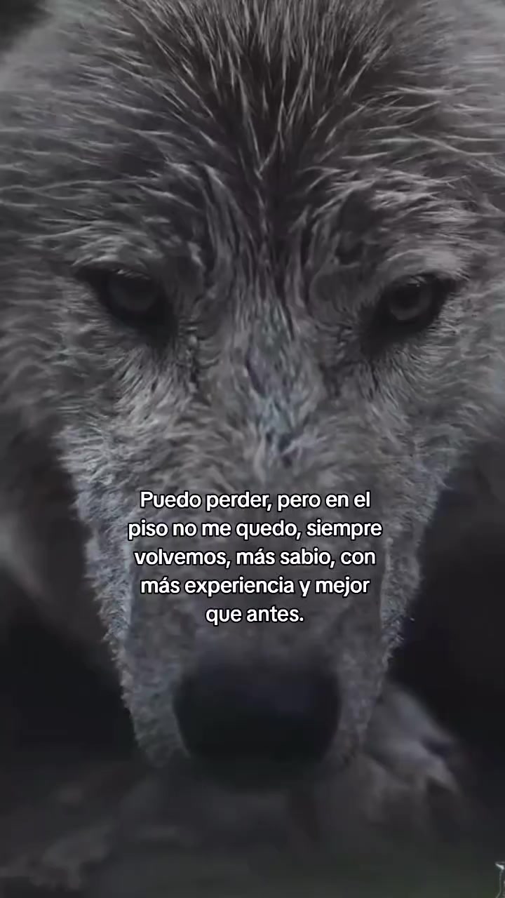 @NyxcSam