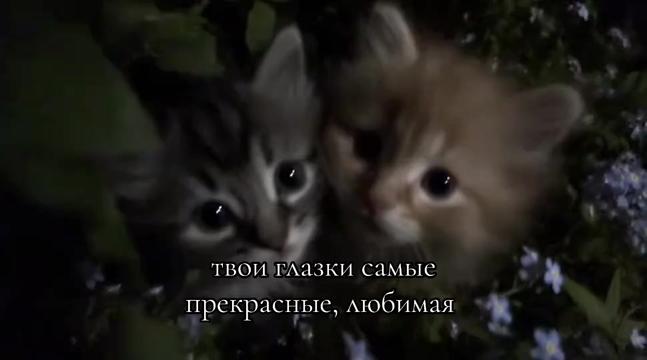 @тгк:Artemchik69 <3