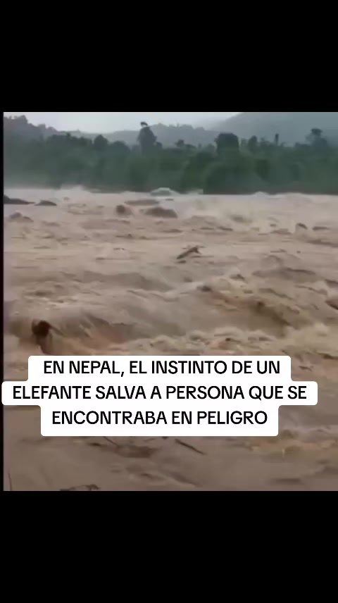 @peruanas