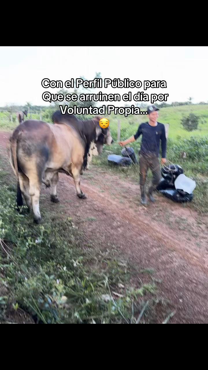 @Didier_🤠