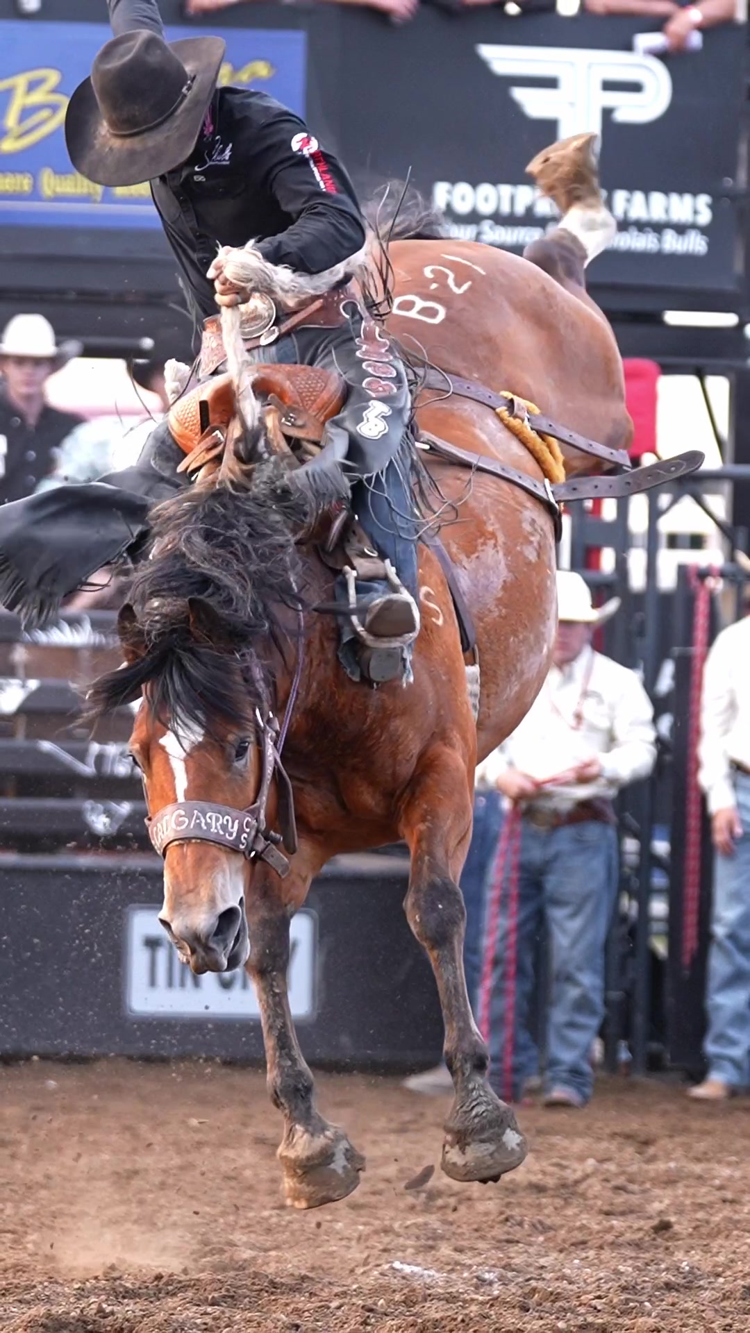 @Hanginghorses