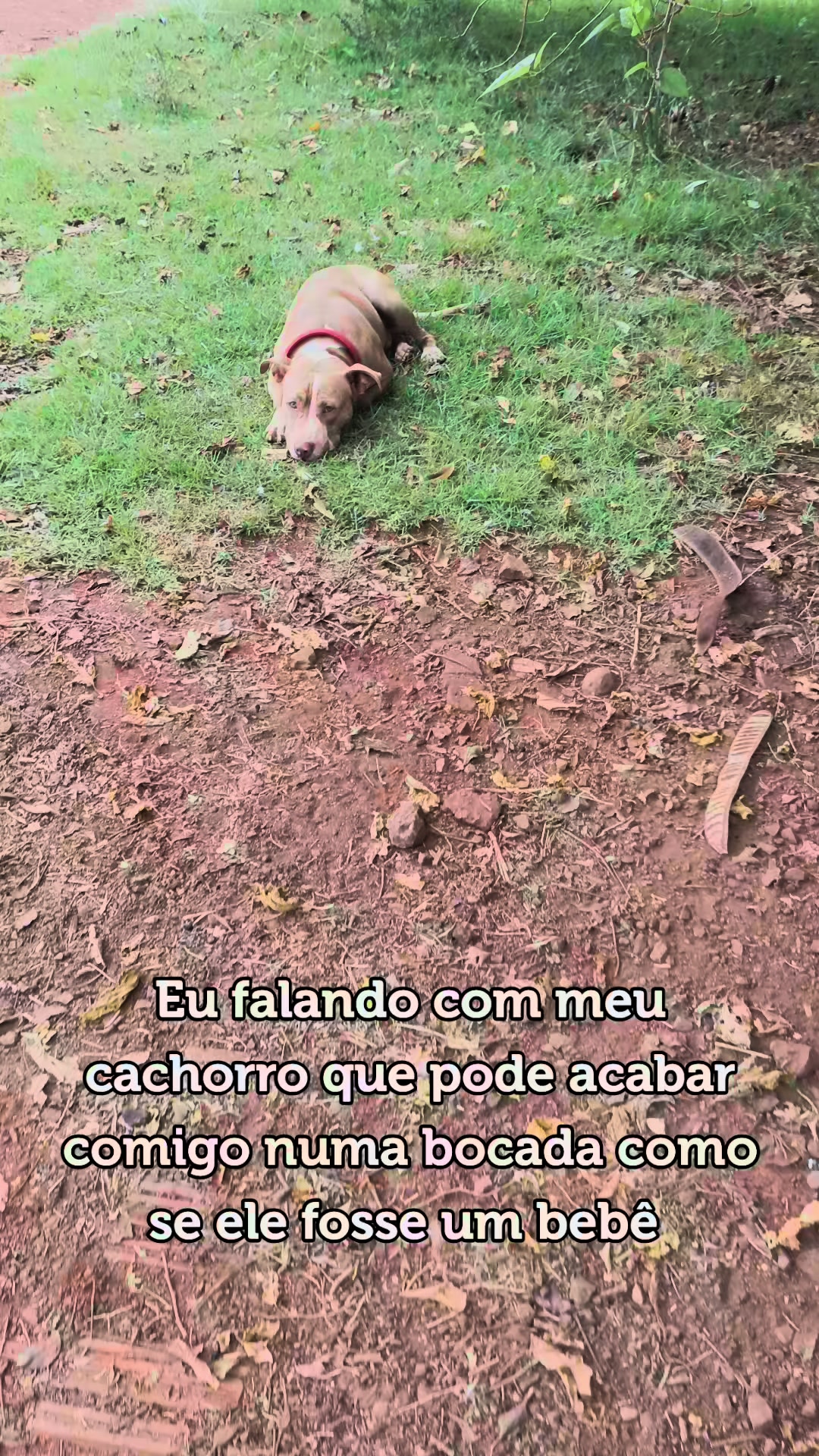 @Máximos