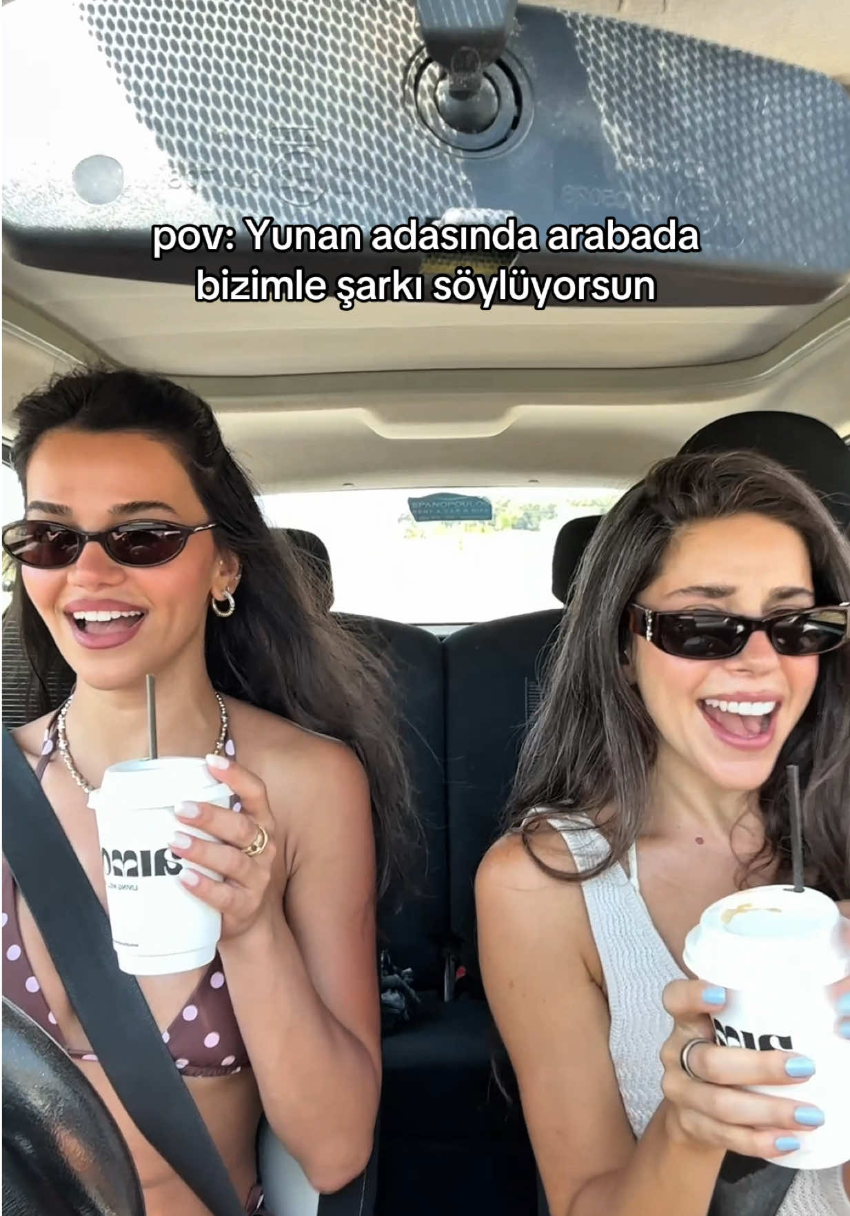 @elvin levinler