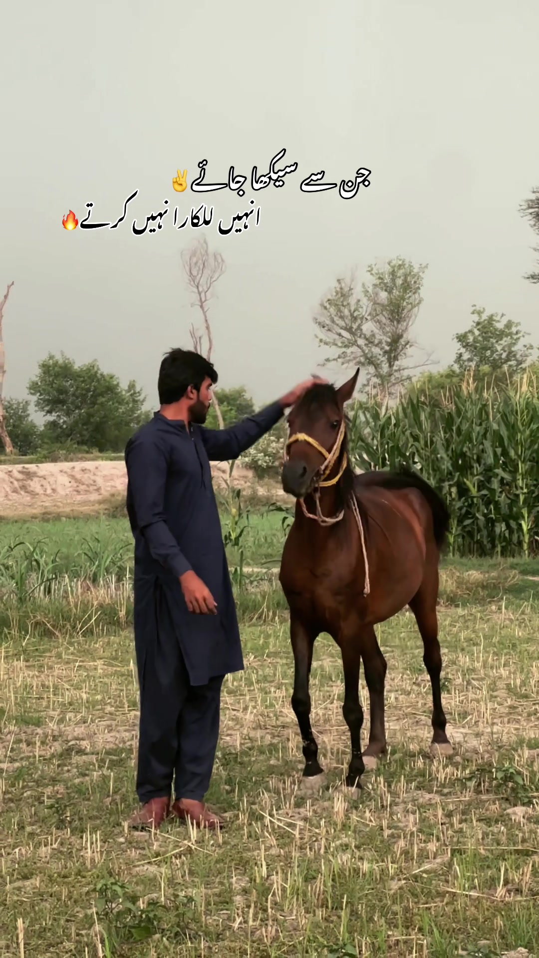 @Saqlain Khanuana