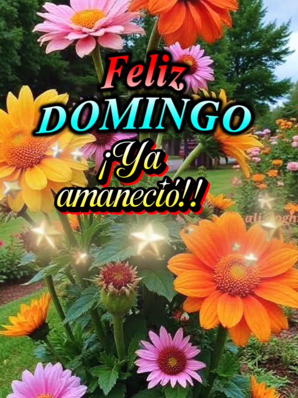 @Maria Ysabel 🇻🇪