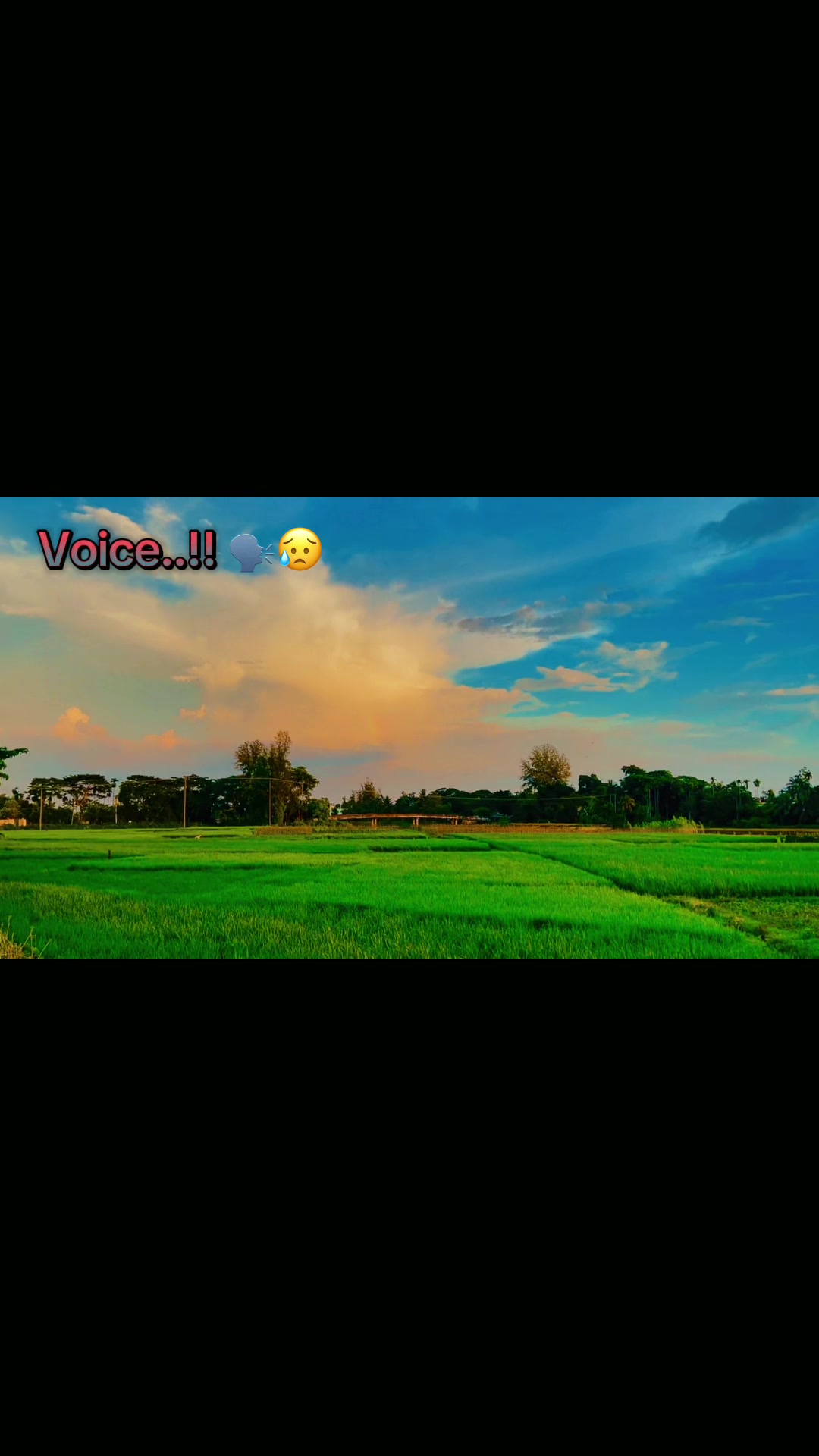 @ ✨𝐄 𝐌 𝐎 𝐍ツ(اِمــو͢ن) !i