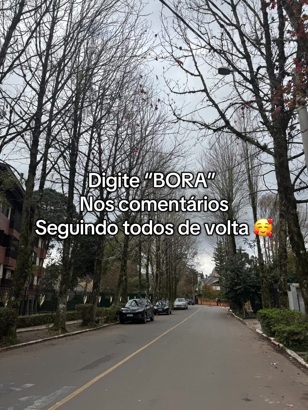 @Alessandra Ribeiro 👻