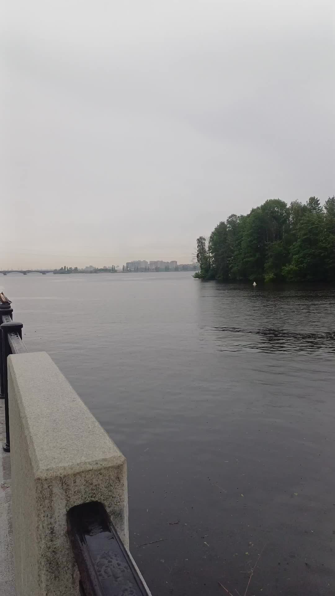 @Незабудка